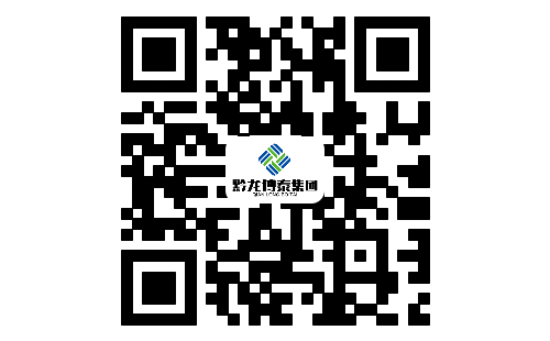 贵州黔龙博泰实业集团有限公司