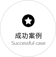 成功案例
